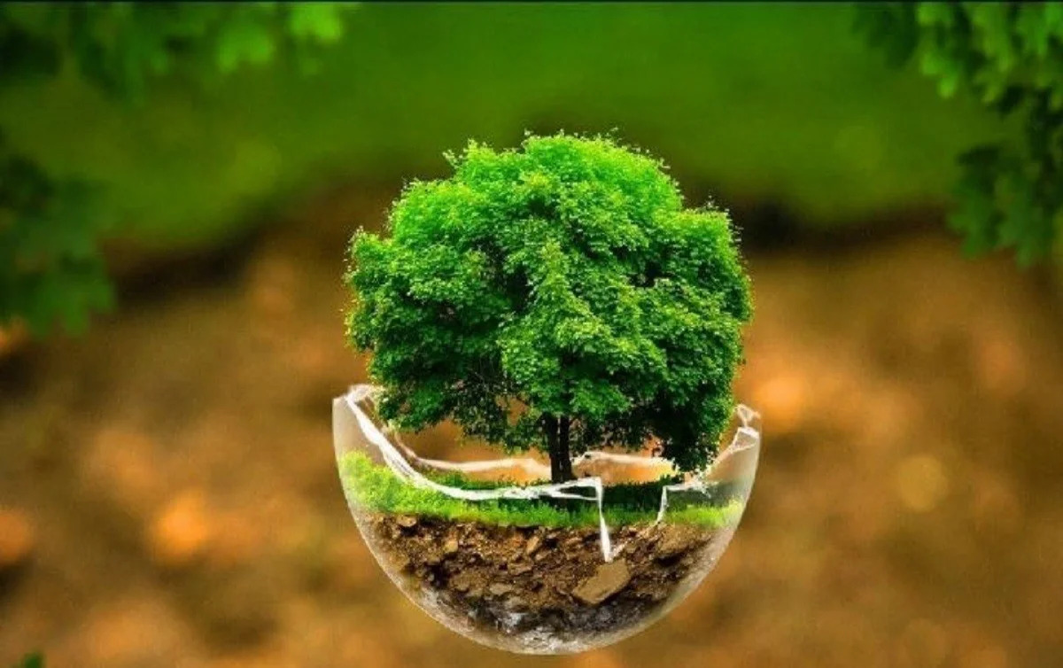 گذری بر نمایشگاه محیط زیست 1404
